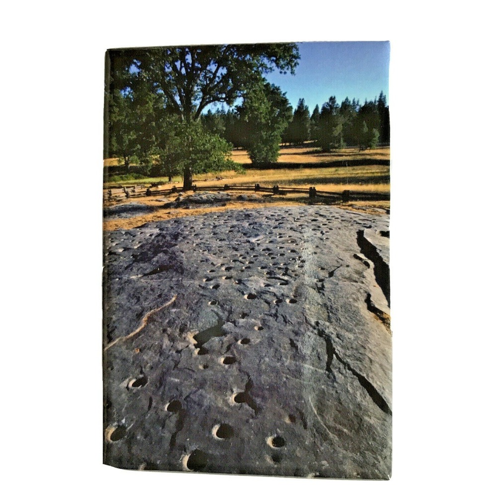 Collectible Photo Magnet Frank Balthis 2 x 3"  FB-M12 Sand 2006